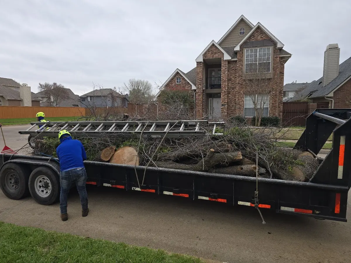 Expert Crown Reduction with proper safety equipment in Frazeysburg